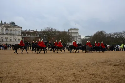 DSC_5606 (Large).JPG